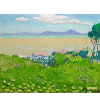 Sidi Bou Said, Field In Flowers