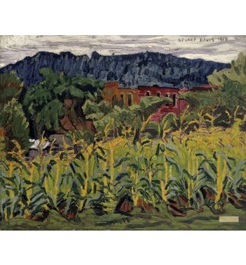 Cornfield, Usa