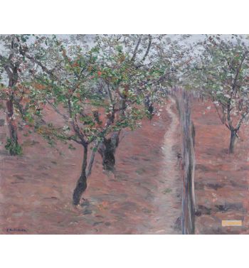 Verger, Arbres En Fleurs, Petit Gennevilliers