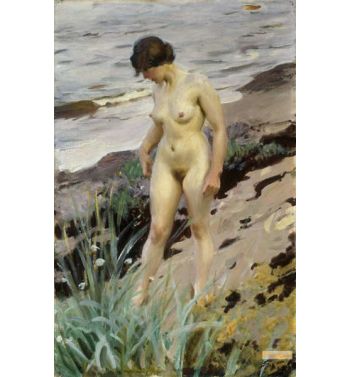 Sandhamn Study 1914
