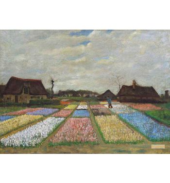 Flower Beds In Holland