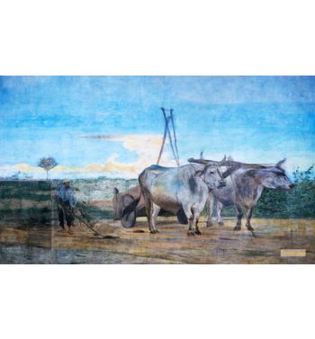Collection Of Manure Wagon With Oxen