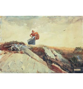 Down The Cliff 1883