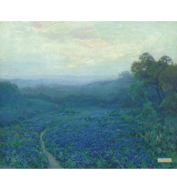Path Through The Bluebonnets, 2