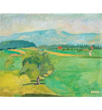 Der Blaue Berg Blick von Oschwand Auf Die Jurakette