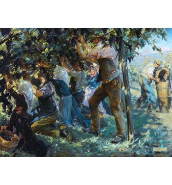 Wine Harvest In The Tyrol