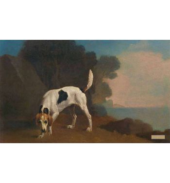 Foxhound