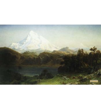 Mount Hood In Oregon