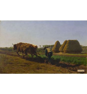 Ploughing Scene