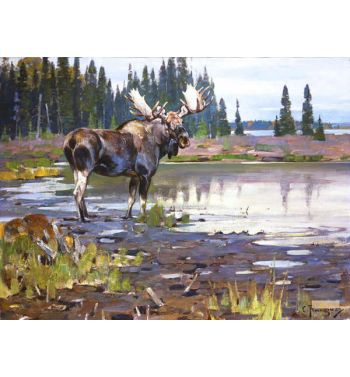 Bull Moose