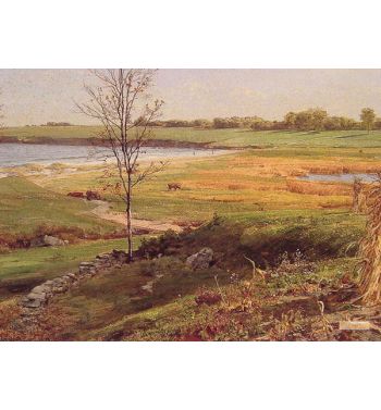 Salt Marsh By The Sea 1