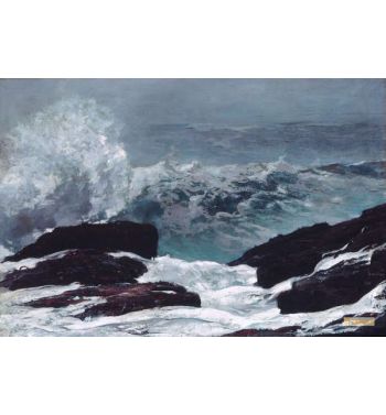 Maine Coast
