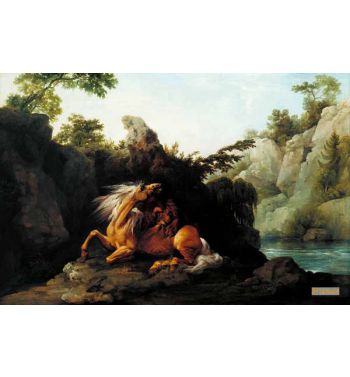Horse Devoured By A Lion