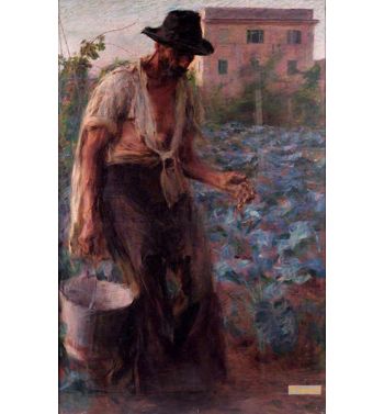 Farmer, 1903