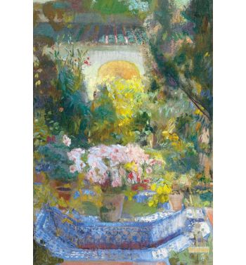 The Courtyard Of The Sorolla House