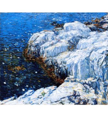 Jelly Fish 1912