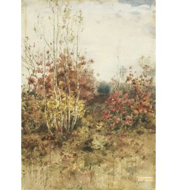 Woods In The Fall