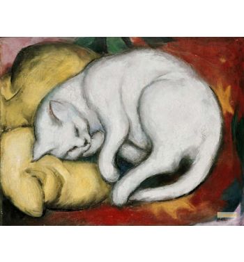 The White Cat