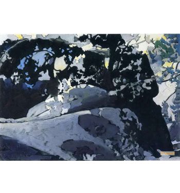 Sun, Rocks And Trees