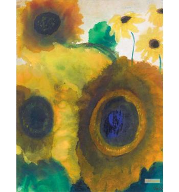 Tournesol