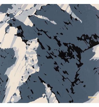 Swiss Alps I 1969