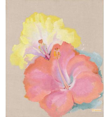 Hibiscus 1939