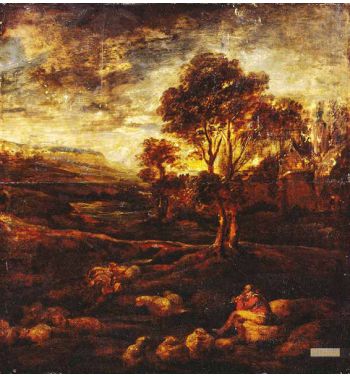 Evening Landscape