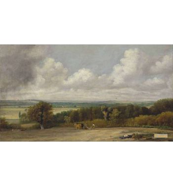 Ploughing Scene In Suffolk