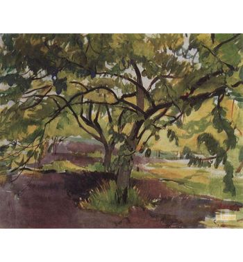 Orchard 1909