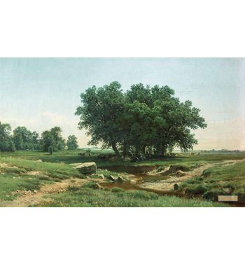 Young Oaks