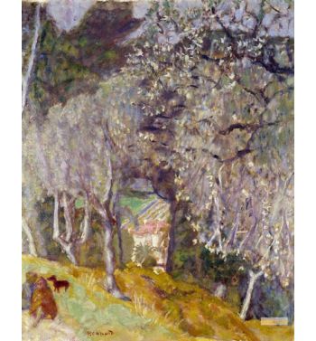 House In The Olives