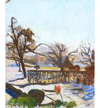 Out of the Window in Winter