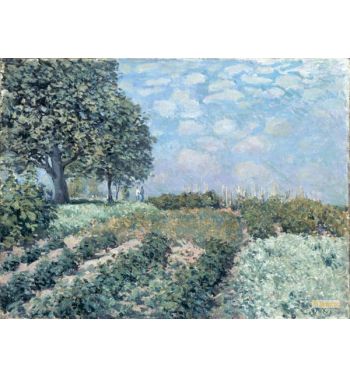 The Market Gardens
