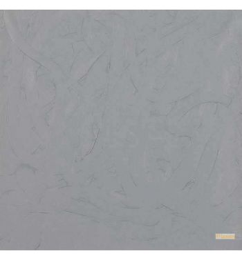 Gray Gray, 1971