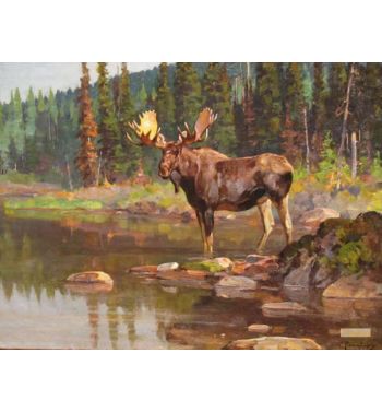 Bull Moose 2