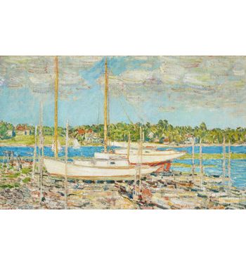 A Misty Harbor