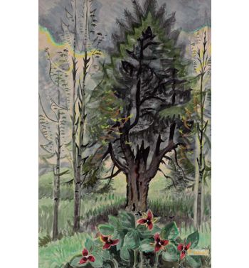 Red Trillums and Hemlock
