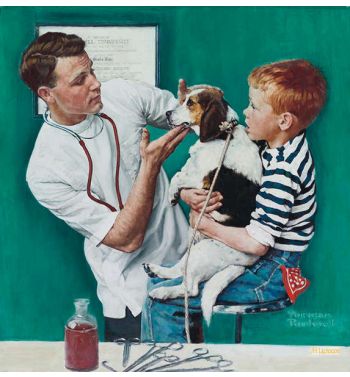 The Veterinarian