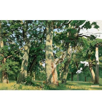 Oak Trees At Eventide 1887