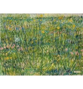 Patch Of Grass Pasture In Bloom 1887