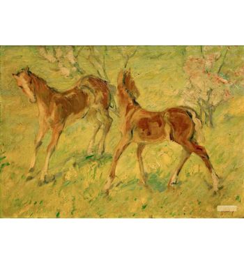 Foals In The Pasture, Jumping Foals