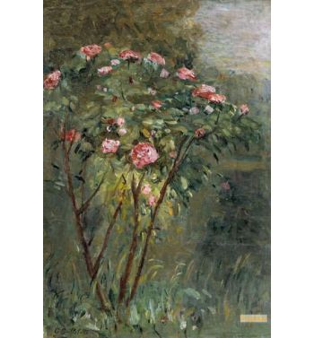 The Rose Bush