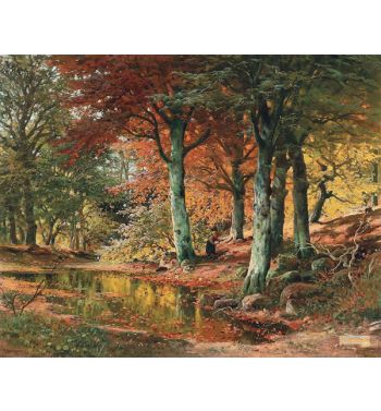 Woodland Landscape in Autumn