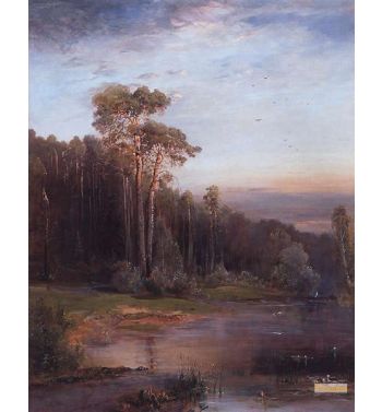 Summer Landscape With Pine Trees