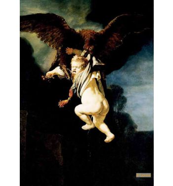 Abduction Of Ganymede