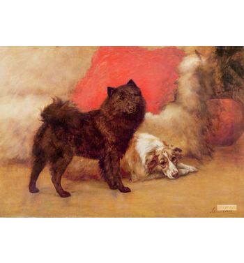 The Red Cushion