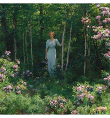 The Edge Of The Woods