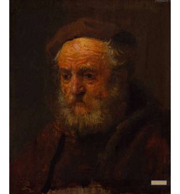 Head Of An Old Man