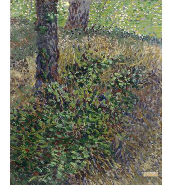 Undergrowth