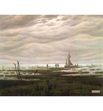 Flat Country Shank At Greifswalder Bodden